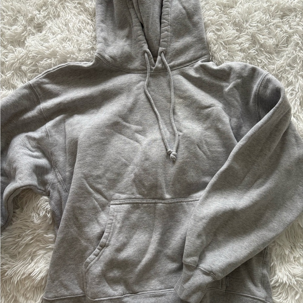 Aritzia TNA Gray Hoodie